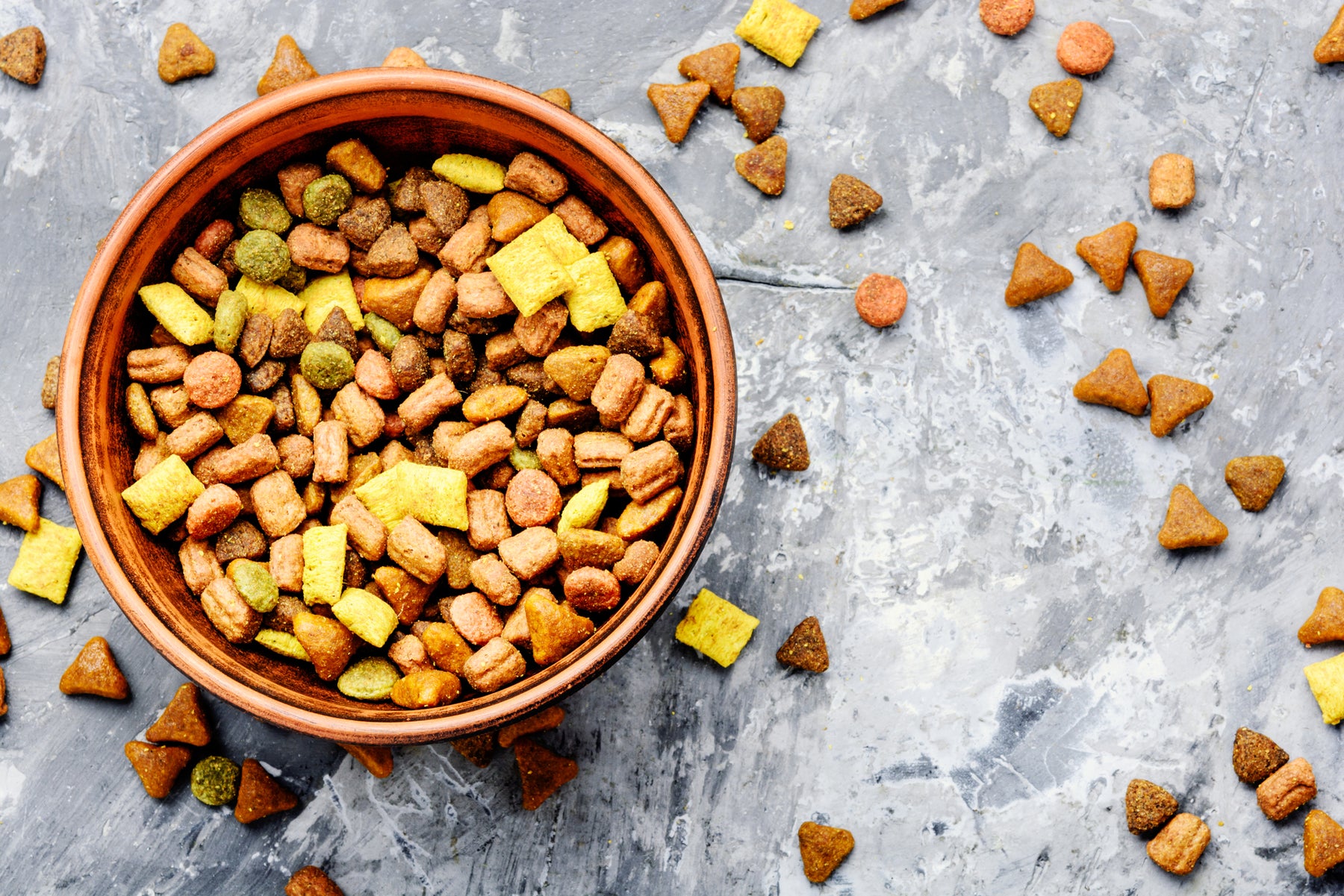 What Low-Protein Really Means in Cat Food