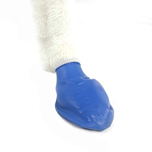 Pawz Dog Boots Medium | Dog Paw Protection with Dog Rubber Booties | Dog Booties for Winter, Rain and Pavement Heat | Waterproof Dog Shoes for Clean Paws | Paw Friction for Dogs