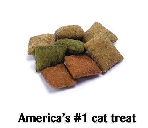 TEMPTATIONS MixUps Treats for Cats CATNIP FEVER Flavor 16 Ounces