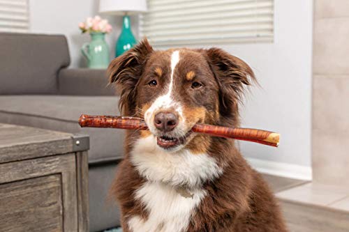 Natural Cravings USA Texas Sized Bully Sticks | All Natural | Odor Free | High Protein | Premium Quality Dog Chews | Monster 12"