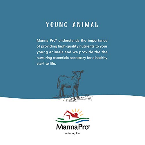 Manna Pro 1000137 227428 Cut Hoof Heal, 16-Ounces