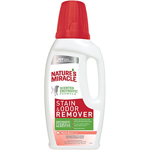 Nature's Miracle Melon Burst Stain and Odor Remover Gallon