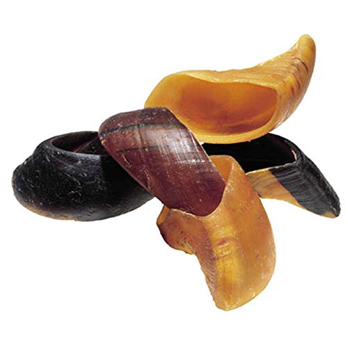 Redbarn Cow Hooves, All-Natural Dog Chew