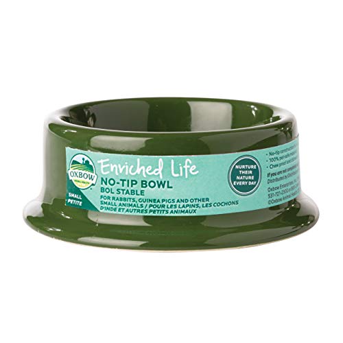 Oxbow Enriched Life No Tip Bowl, Small