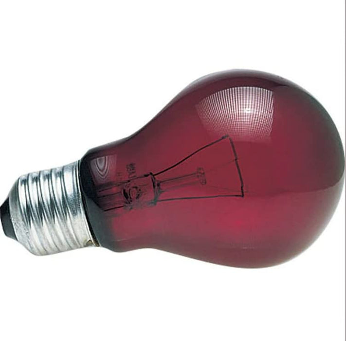 Zoo Med Nightlight Red Reptile Bulb 100 Watts - Pack of 2