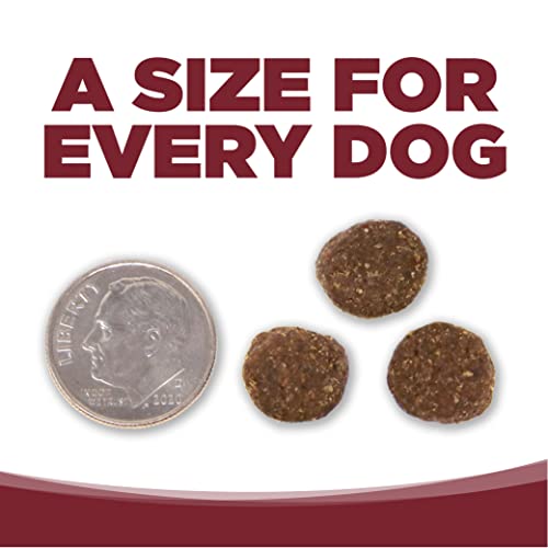 NutriSource Dog Food, Made with Beef and Brown Rice, Wholesome Grains