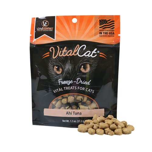 Vital Essentials Freeze Dried Cat Treats, Raw
