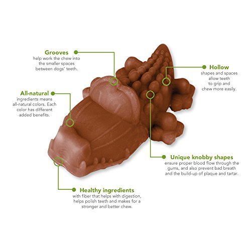 Paragon Whimzees Alligator Treat Dental Treat for Large Dogs, 6 Per Bag