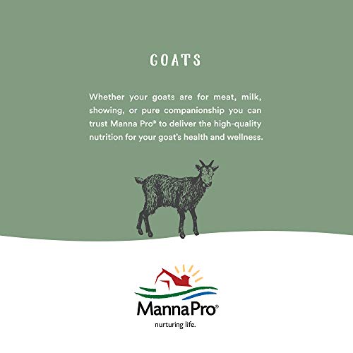 Manna Pro 1000137 227428 Cut Hoof Heal, 16-Ounces