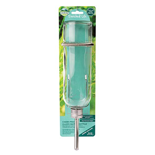 Oxbow Enriched Life Chew Proof Glass Water Bottle, 16oz / 473ml