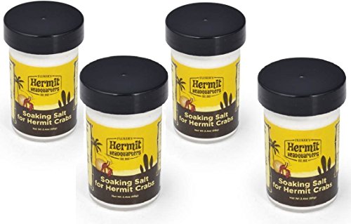 HERMIT HEADQUARTERS HERMIT CRAB SOAKING SALT