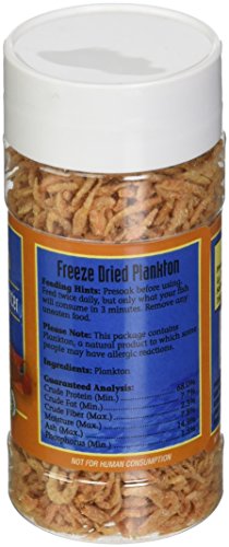 San Francisco Bay Brand ASF71205 Freeze Dried Plankton for Fresh and Saltwater Fish, 14gm