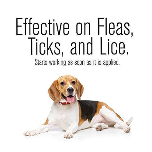 ZoGuard Plus Flea and Tick Prevention for Dogs, Medium 23-44 lbs, 3 Months, 3 Doses