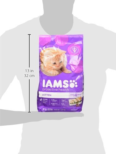IAMS PROACTIVE HEALTH Kitten Dry Cat Food 3.5 Pounds (Pack of 2)