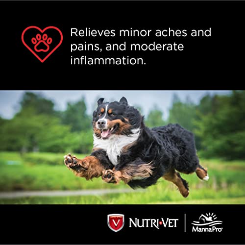 Nutri-Vet Aspirin for Dogs | Dogs Under 50lbs | 120 mg | 100 Count (Pack of 1)