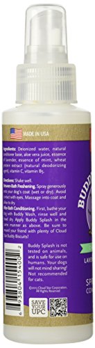 Buddy Biscuits Buddy Splash Lavender & Mint Spritzer & Conditioner, 4 FZ