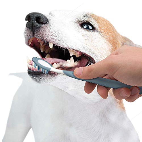 Nylabone Advanced Oral Care Senior Dog Dental Kit Small Dog