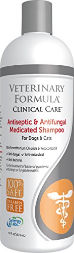 Veterinary Formula Clinical Care Antiseptic and Antifungal Shampoo for Dogs and Cats – Medicated Shampoo to Relieve, Heal and Soothe Fungal and Bacterial Skin Infections