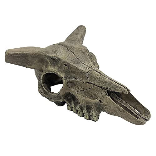 Komodo Reptile Terrarium Realistic Skulls Ornament Decor | Easy to Clean Under Water Aquarium or Dry Habitat Decoration Accessories