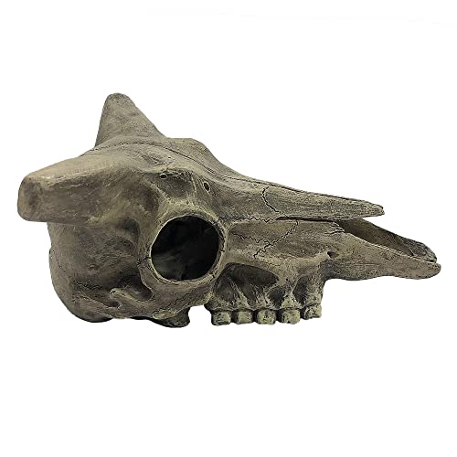 Komodo Reptile Terrarium Realistic Skulls Ornament Decor | Easy to Clean Under Water Aquarium or Dry Habitat Decoration Accessories