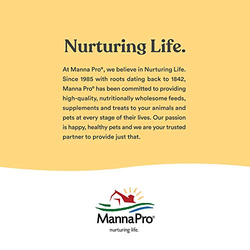 Manna Pro 1000137 227428 Cut Hoof Heal, 16-Ounces