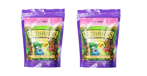 (2 Pack) Lafeber’S Gourmet Sunny Orchard Nutri-Berries For Cockatiels 10-Ounce Bag