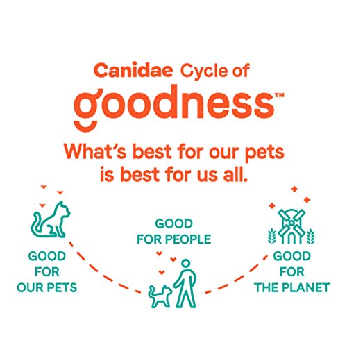 CANIDAE Goodness Premium Dry Cat Food, Focused Nutrition for Healthy Cats