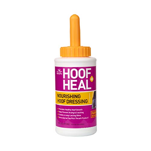 Manna Pro 1000137 227428 Cut Hoof Heal, 16-Ounces