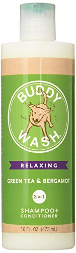 Cloud Star Buddy Wash Dog Shampoo and Conditioner, 16oz, Green Tea & Bergamot