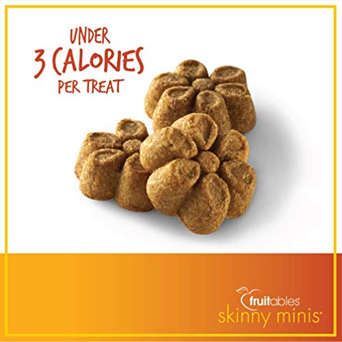 Fruitables Skinny 5 Ounce Minis Pumpkin & Mango Soft & Chewy Dog Treats