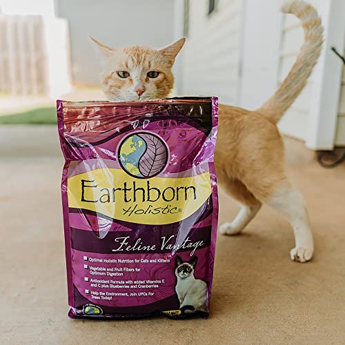 Earthborn Holistic Feline Vantage Natural Dry Cat Food