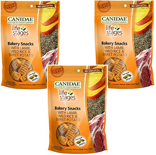 CANIDAE (3 Pack) Life Stages Bakery Snacks with Lamb, Wild Rice, Sweet Potato Biscuits for Dogs, 14 oz