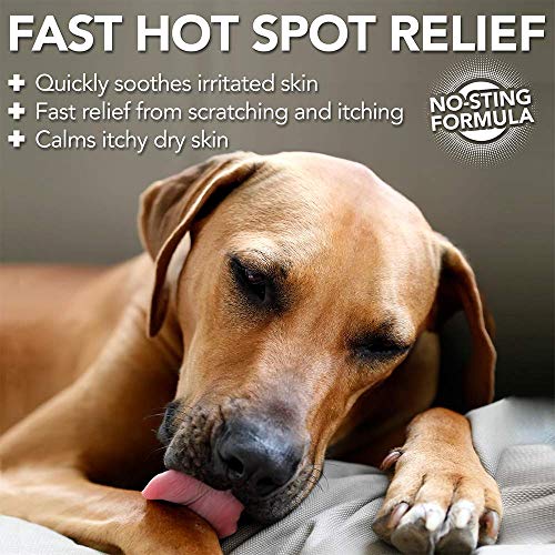 Vet’s Best Dog Hot Spot Itch Relief Spray | Soothes Dog Dry Skin, Itchy Skin, and Hot Spots | Vet Formulated for Fast, No-sting Relief | 16 Ounces