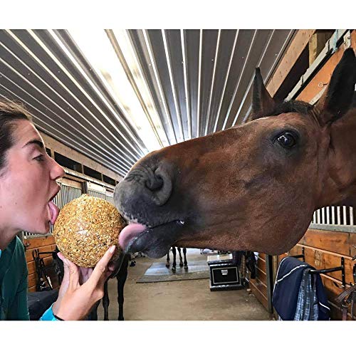 Uncle Jimmys 2 Pack Of Hanging Ball Apple Flavored Treats For Horses, 3 Pound Each
