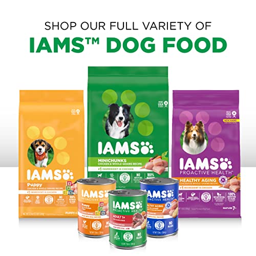 IAMS PROACTIVE HEALTH Wet Dog Food, 12 count 13 oz. Cans
