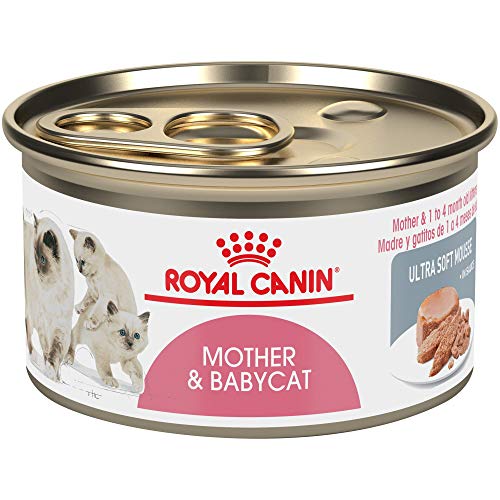 Royal Canin Mother & Babycat Ultra-Soft Mousse in Sauce Variety Pack Wet Cat Food, 3 oz., Count of 6, 6 CT