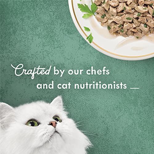 PURINA Fancy Feast Medleys White Meat Chicken Florentine with Garden Greens in a Delicate Sauce Adult Wet Cat Food