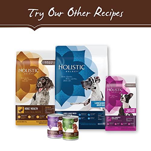 Holistic Select Natural Grain Free Dry Dog Food, Adult & Puppy Salmon