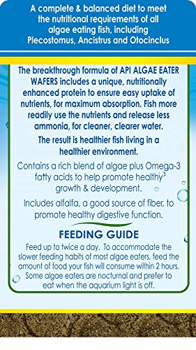 ALGAE EATER ALGAE WAFER