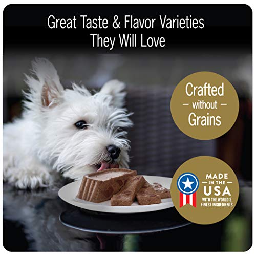 Cesar Breakfast Collection Gourmet Wet Dog Food, Pack of 24