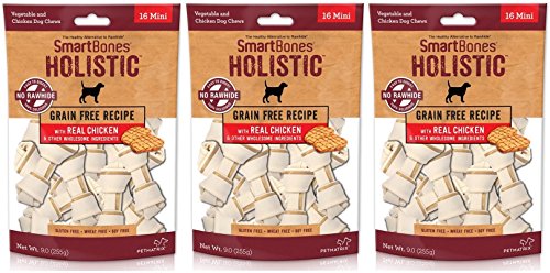 SmartBones (3 Pack) Holistic Rawhide-Free Dog Chews, Gluten/Wheat/Soy Free, 16 Mini Bones Per Pack