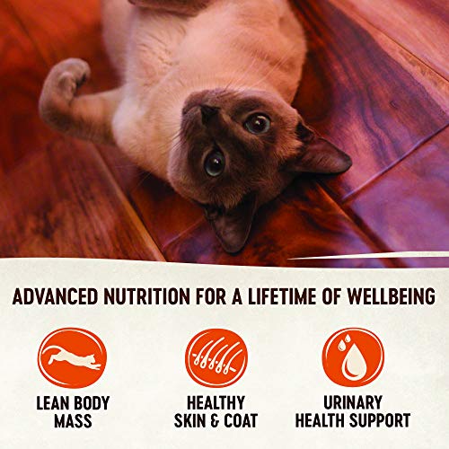 Wellness CORE Signature Selects Shredded Boneless Wet Cat Food (Pack of 12)