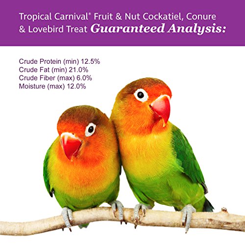 F.M. Brown's Tropical Carnival Fruit and Nut Cockatiel Treats - Fruits, Nuts, Seeds and Veggies - 8 oz