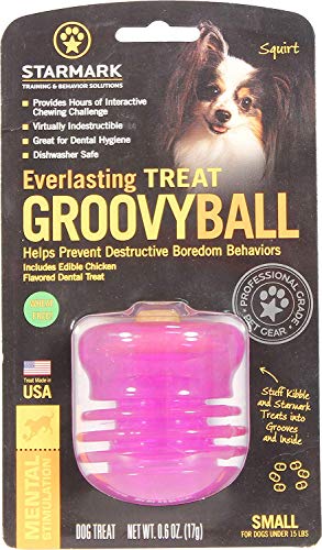 Starmark 2 Pack of Everylasting Treat Groovy Ball Dog Toys, Small, Made in The USA