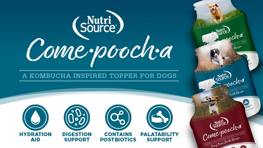 NutriSource Come-Pooch-A Broth 12oz (Beef)