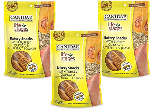(3 Pack) Canidae Life Stages Bakery Snacks with Turkey, Quinoa, Butternut Squash Biscuits for Dogs, 14-Ounce