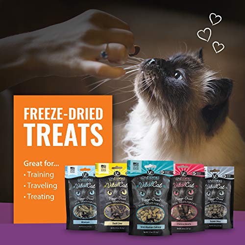 Vital Cat Duck Liver All-Natural Treats - Delectable Raw Nutrition for All Ages - Made in USA - Grain Free - Low Calorie for Healthy Weight 0.9 oz Resealable Bag - 3 Pack