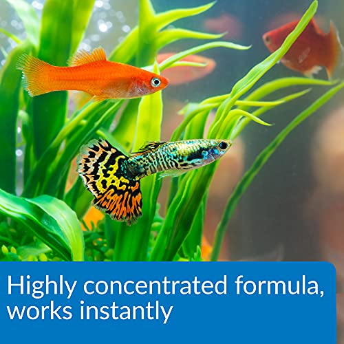 API Aqua Essential Water Conditioner, All-in-One Highly Concentrated Aquarium Formula, Instantly Removes Chlorines, Chloramines, Ammonia, Nitrites, Nitrates and Neutralizes Heavy Metal