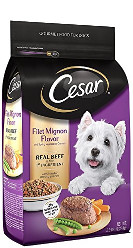 Cesar Dry Dog Food