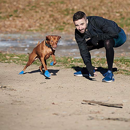 Pawz Dog Boots Medium | Dog Paw Protection with Dog Rubber Booties | Dog Booties for Winter, Rain and Pavement Heat | Waterproof Dog Shoes for Clean Paws | Paw Friction for Dogs